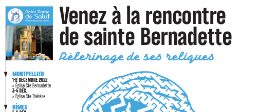 Accueil des reliques de Ste Bernadette à Montpellier