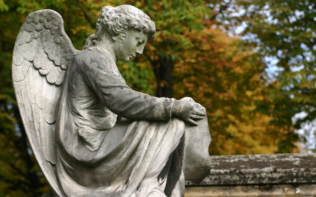 Rappel à Dieu – Père Georges Vicens, PSJ