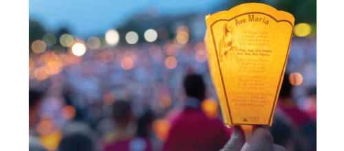 Pèlerinage diocésain à Lourdes